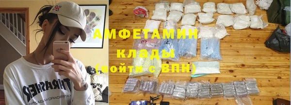 прущие грибы Протвино