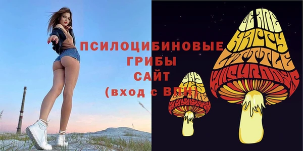 мескалин Балахна
